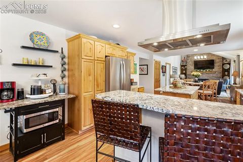 Tiny photo for 130 Paint Pony Lane, Florissant, CO 80816 (MLS # 5818975)