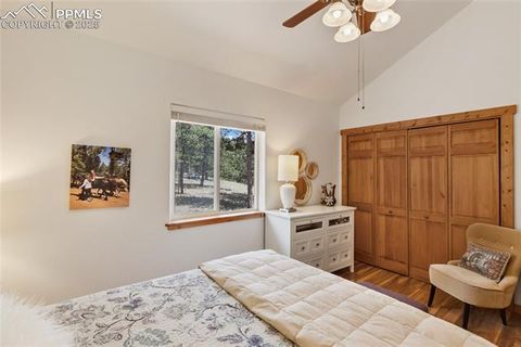 Tiny photo for 130 Paint Pony Lane, Florissant, CO 80816 (MLS # 5818975)