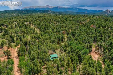 Tiny photo for 130 Paint Pony Lane, Florissant, CO 80816 (MLS # 5818975)