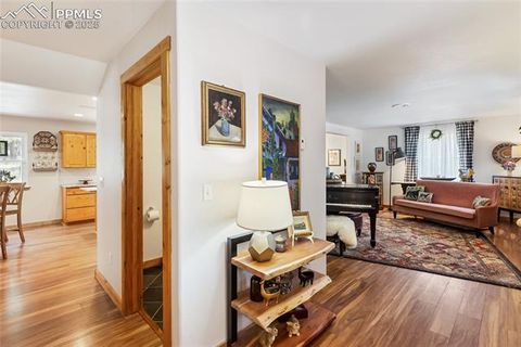 Tiny photo for 130 Paint Pony Lane, Florissant, CO 80816 (MLS # 5818975)