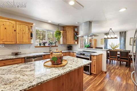 Tiny photo for 130 Paint Pony Lane, Florissant, CO 80816 (MLS # 5818975)