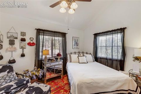 Tiny photo for 130 Paint Pony Lane, Florissant, CO 80816 (MLS # 5818975)