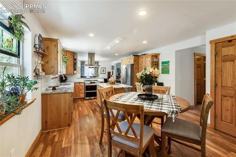 Tiny photo for 130 Paint Pony Lane, Florissant, CO 80816 (MLS # 5818975)