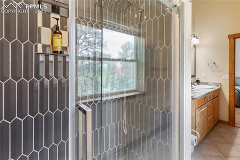 Tiny photo for 130 Paint Pony Lane, Florissant, CO 80816 (MLS # 5818975)