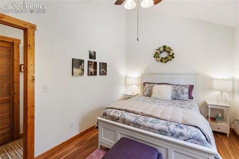 Tiny photo for 130 Paint Pony Lane, Florissant, CO 80816 (MLS # 5818975)