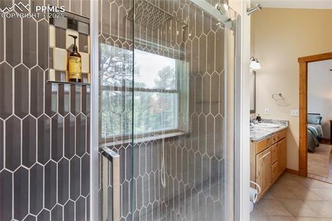 Tiny photo for 130 Paint Pony Lane, Florissant, CO 80816 (MLS # 5818975)