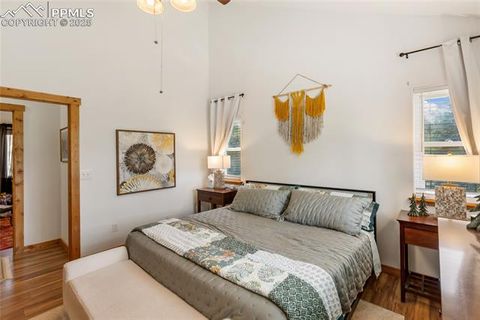 Tiny photo for 130 Paint Pony Lane, Florissant, CO 80816 (MLS # 5818975)
