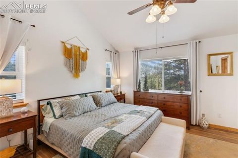 Tiny photo for 130 Paint Pony Lane, Florissant, CO 80816 (MLS # 5818975)