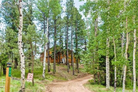 Tiny photo for 130 Paint Pony Lane, Florissant, CO 80816 (MLS # 5818975)
