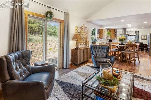 Tiny photo for 130 Paint Pony Lane, Florissant, CO 80816 (MLS # 5818975)