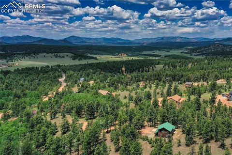 Tiny photo for 130 Paint Pony Lane, Florissant, CO 80816 (MLS # 5818975)