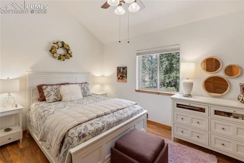 Tiny photo for 130 Paint Pony Lane, Florissant, CO 80816 (MLS # 5818975)