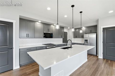 Tiny photo for 10239 Spry Street, Colorado Springs, CO 80924 (MLS # 3812512)