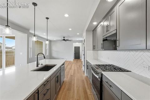 Tiny photo for 10239 Spry Street, Colorado Springs, CO 80924 (MLS # 3812512)