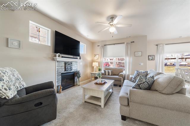 4319 Alder Springs View