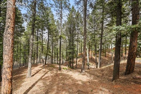 Tiny photo for 1300 W Midland Avenue, Woodland Park, CO 80863 (MLS # 3504931)