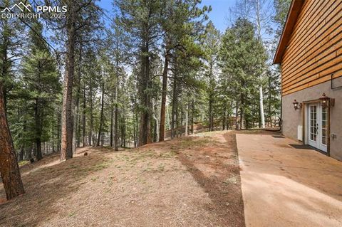 Tiny photo for 1300 W Midland Avenue, Woodland Park, CO 80863 (MLS # 3504931)