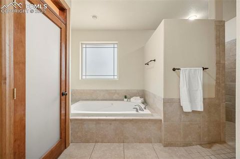 Tiny photo for 1300 W Midland Avenue, Woodland Park, CO 80863 (MLS # 3504931)
