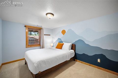 Tiny photo for 1701 Navajo Trail, Woodland Park, CO 80863 (MLS # 6192589)