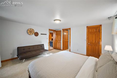 Tiny photo for 1701 Navajo Trail, Woodland Park, CO 80863 (MLS # 6192589)