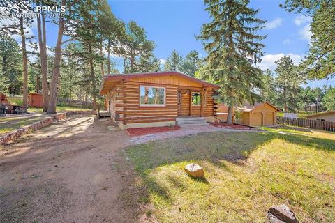 Tiny photo for 1701 Navajo Trail, Woodland Park, CO 80863 (MLS # 6192589)