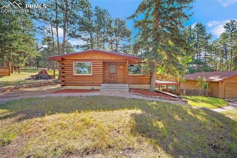 Photo of 1701 Navajo Trail, Woodland Park, CO 80863 (MLS # 6192589)