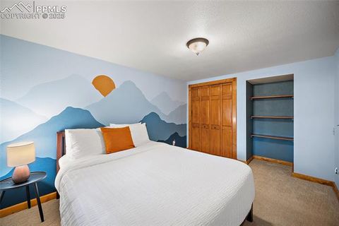 Tiny photo for 1701 Navajo Trail, Woodland Park, CO 80863 (MLS # 6192589)