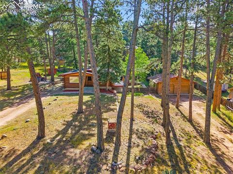 Tiny photo for 1701 Navajo Trail, Woodland Park, CO 80863 (MLS # 6192589)