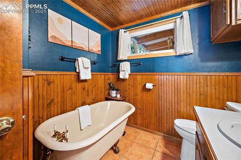 Tiny photo for 1701 Navajo Trail, Woodland Park, CO 80863 (MLS # 6192589)