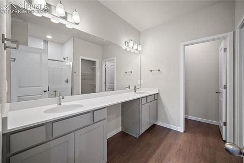 Tiny photo for 9157 Golden Buffs Drive, Colorado Springs, CO 80925 (MLS # 6527927)