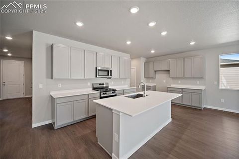 Tiny photo for 9157 Golden Buffs Drive, Colorado Springs, CO 80925 (MLS # 6527927)