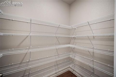 Tiny photo for 9157 Golden Buffs Drive, Colorado Springs, CO 80925 (MLS # 6527927)