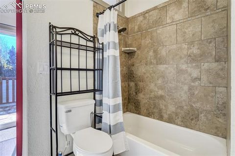 Tiny photo for 56 Daisy Street, Woodland Park, CO 80863 (MLS # 4019490)