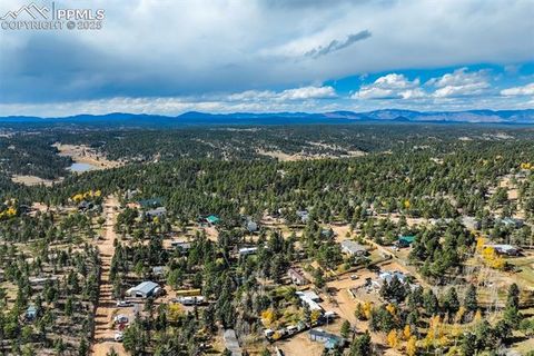 Tiny photo for 56 Daisy Street, Woodland Park, CO 80863 (MLS # 4019490)