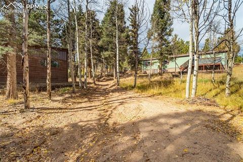 Tiny photo for 56 Daisy Street, Woodland Park, CO 80863 (MLS # 4019490)