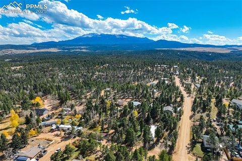 Tiny photo for 56 Daisy Street, Woodland Park, CO 80863 (MLS # 4019490)