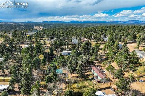 Tiny photo for 56 Daisy Street, Woodland Park, CO 80863 (MLS # 4019490)