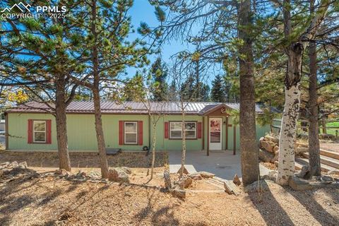 Tiny photo for 56 Daisy Street, Woodland Park, CO 80863 (MLS # 4019490)