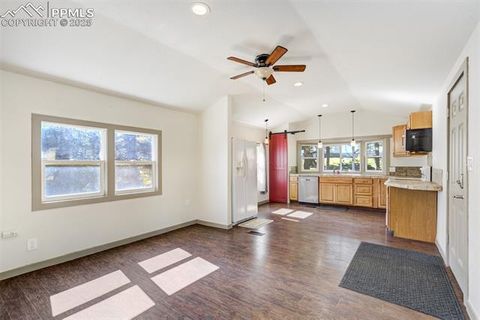 Tiny photo for 56 Daisy Street, Woodland Park, CO 80863 (MLS # 4019490)