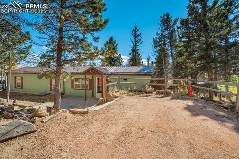 Tiny photo for 56 Daisy Street, Woodland Park, CO 80863 (MLS # 4019490)