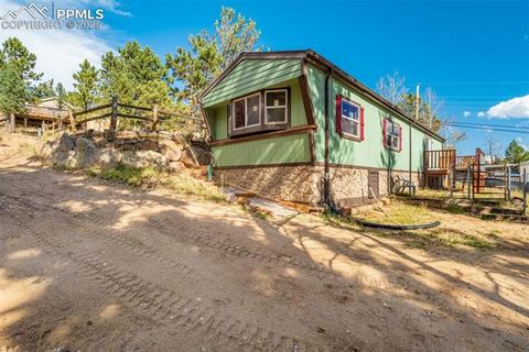 Tiny photo for 56 Daisy Street, Woodland Park, CO 80863 (MLS # 4019490)
