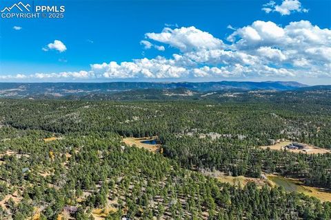 Tiny photo for 56 Daisy Street, Woodland Park, CO 80863 (MLS # 4019490)