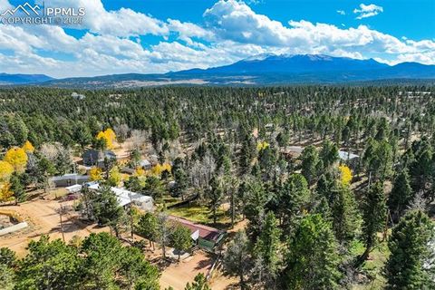 Tiny photo for 56 Daisy Street, Woodland Park, CO 80863 (MLS # 4019490)