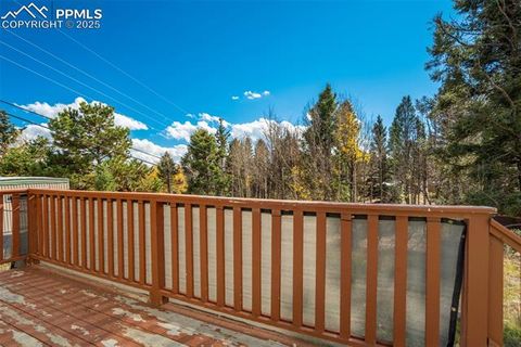 Tiny photo for 56 Daisy Street, Woodland Park, CO 80863 (MLS # 4019490)