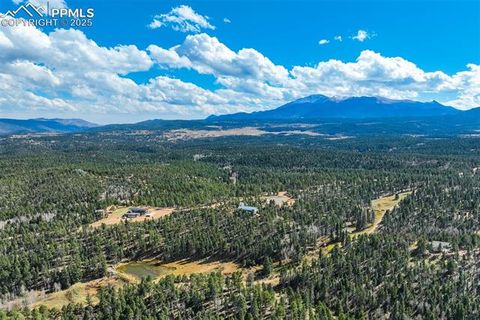 Tiny photo for 56 Daisy Street, Woodland Park, CO 80863 (MLS # 4019490)