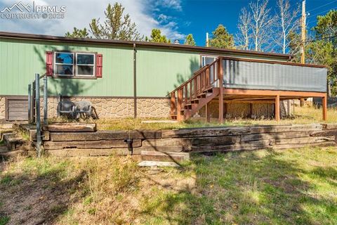 Tiny photo for 56 Daisy Street, Woodland Park, CO 80863 (MLS # 4019490)