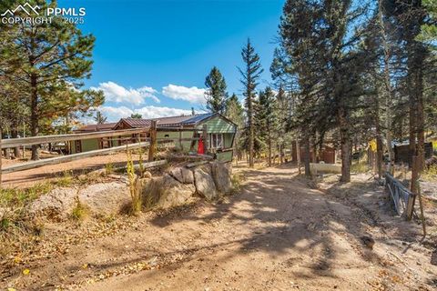 Tiny photo for 56 Daisy Street, Woodland Park, CO 80863 (MLS # 4019490)