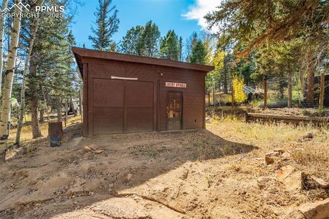 Tiny photo for 56 Daisy Street, Woodland Park, CO 80863 (MLS # 4019490)