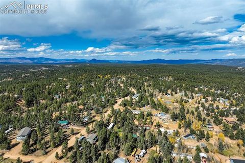 Tiny photo for 56 Daisy Street, Woodland Park, CO 80863 (MLS # 4019490)