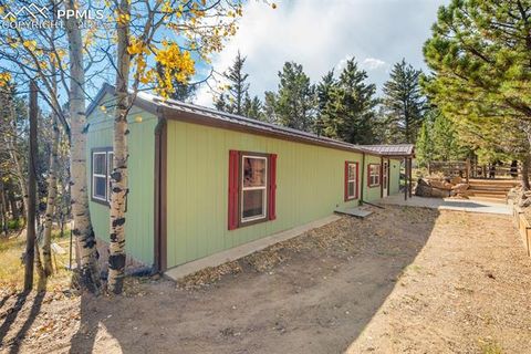 Tiny photo for 56 Daisy Street, Woodland Park, CO 80863 (MLS # 4019490)